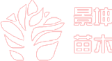 石家庄景坤苗木种植有限公司