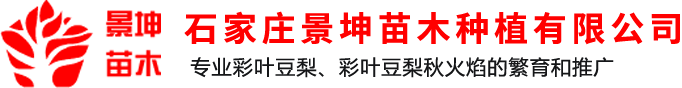 彩叶豆梨
